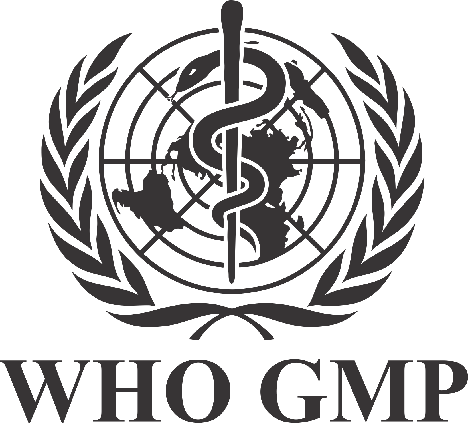 csyjdi-qj.myshopify.com_?v=1770793977383_who gmp.png